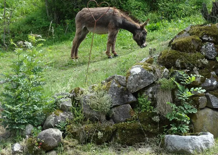 L'arnica Bed and Breakfast La Bréole
