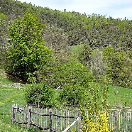 Bed & Breakfast L'arnica 3*