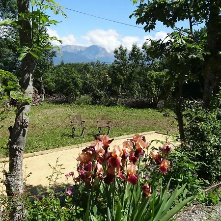 L'arnica La Bréole